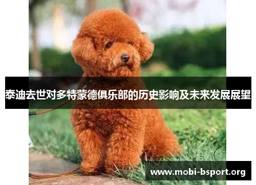 泰迪去世对多特蒙德俱乐部的历史影响及未来发展展望