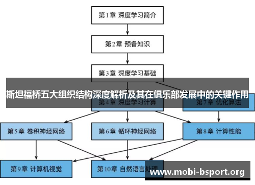 斯坦福桥五大组织结构深度解析及其在俱乐部发展中的关键作用