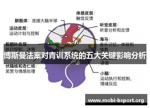 博斯曼法案对青训系统的五大关键影响分析