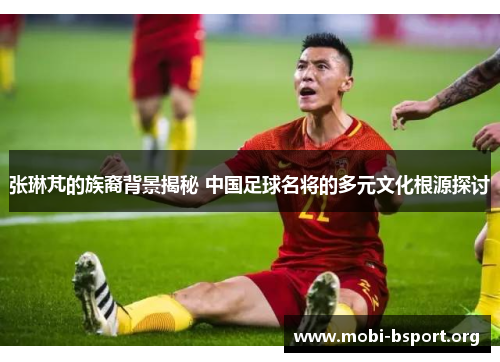 张琳芃的族裔背景揭秘 中国足球名将的多元文化根源探讨 张琳芃的族裔背景揭秘 中国足球名将的多元文化根源探讨