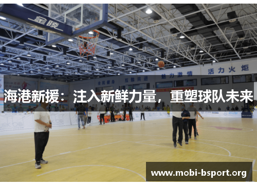 海港新援：注入新鲜力量，重塑球队未来