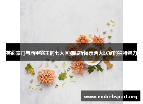 英超豪门与西甲霸主的七大区别解析揭示两大联赛的独特魅力