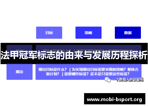法甲冠军标志的由来与发展历程探析